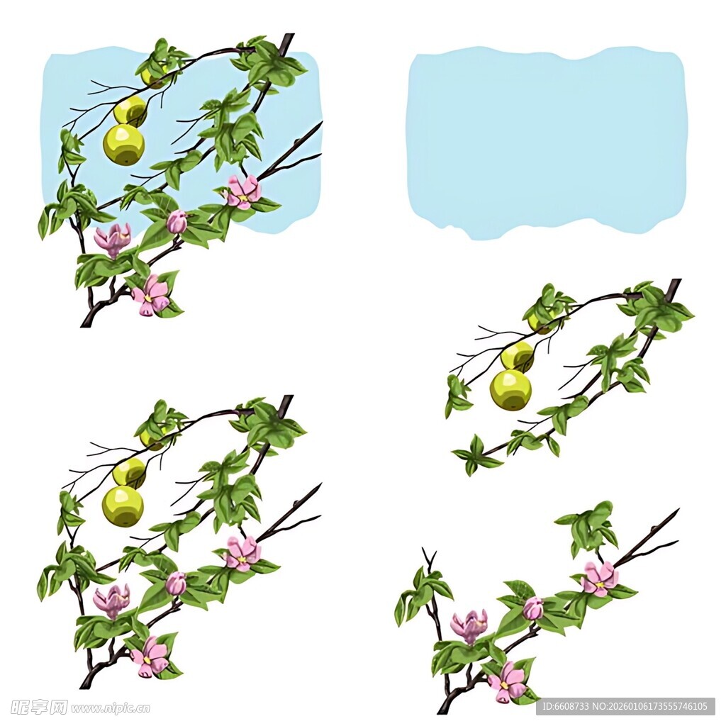 枝头春景繁花硕果插画