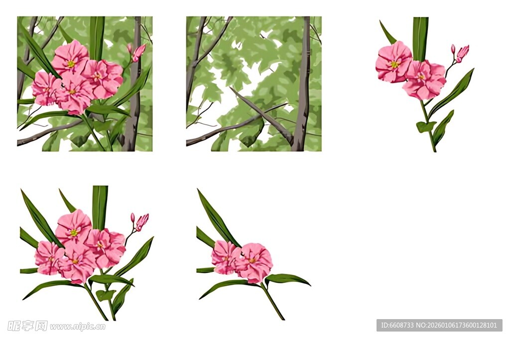 粉色花卉植物素材集合