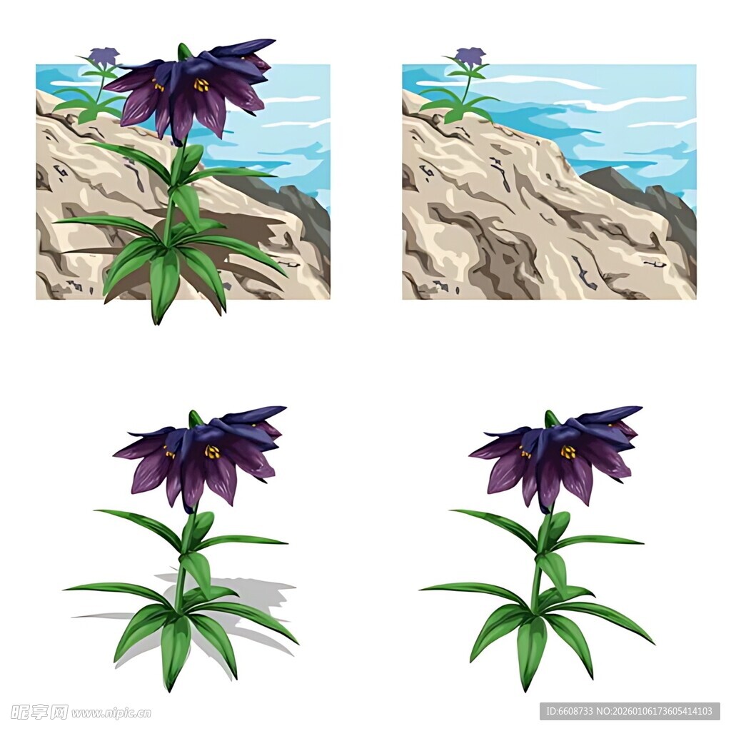 紫色花卉与海岸风景组合图