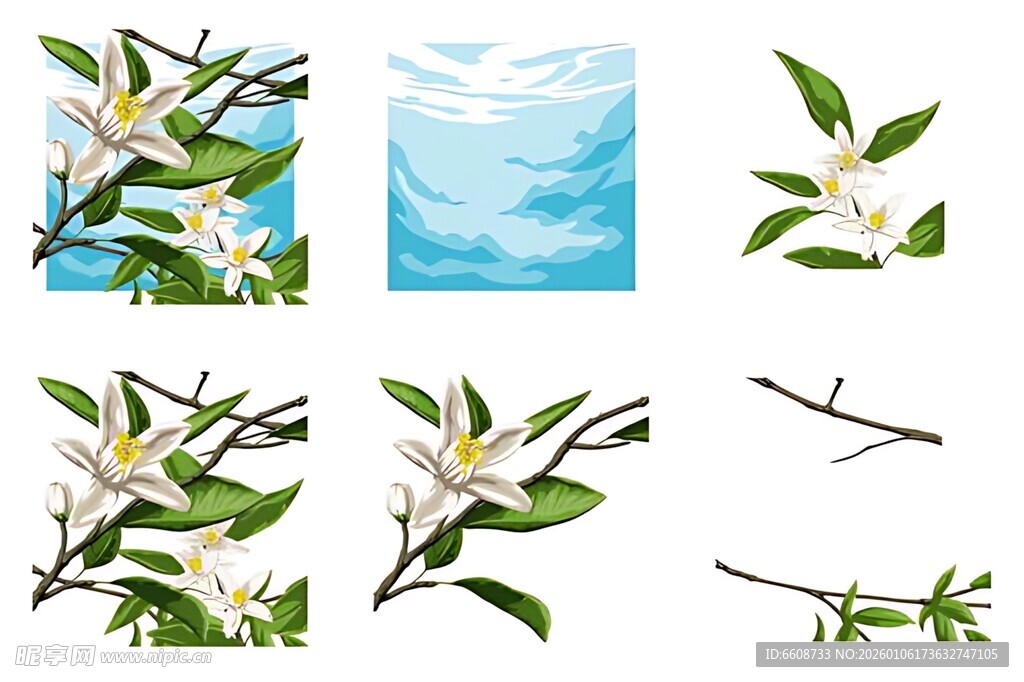 春日枝头花卉绿植集合