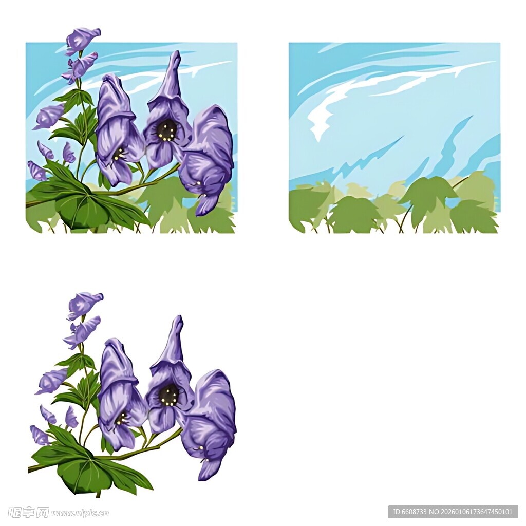 紫色花卉插画组图