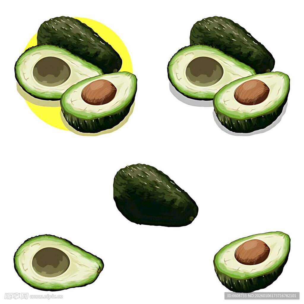 牛油果切片与整果插画