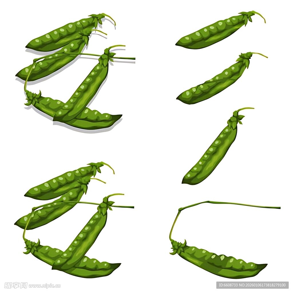 新鲜翠绿的荷兰豆排列展示