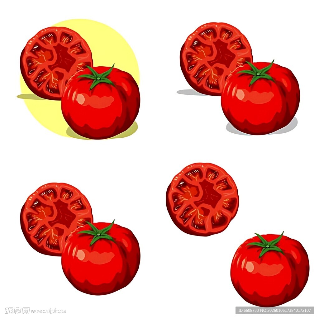 番茄切面插画集合
