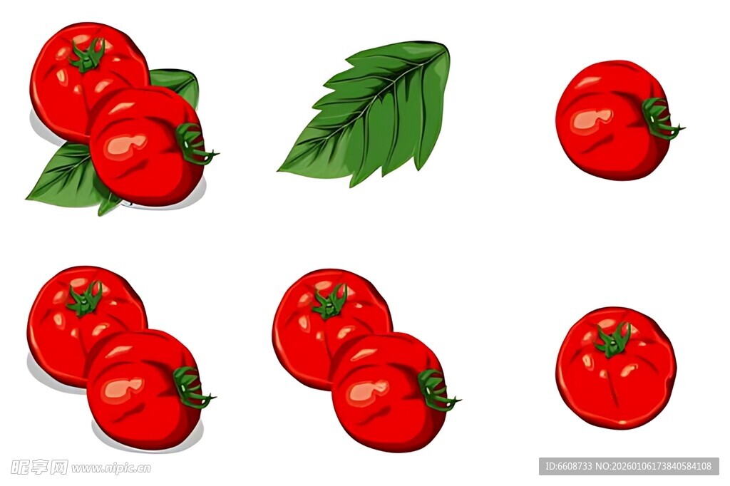 新鲜红番茄与绿叶组合