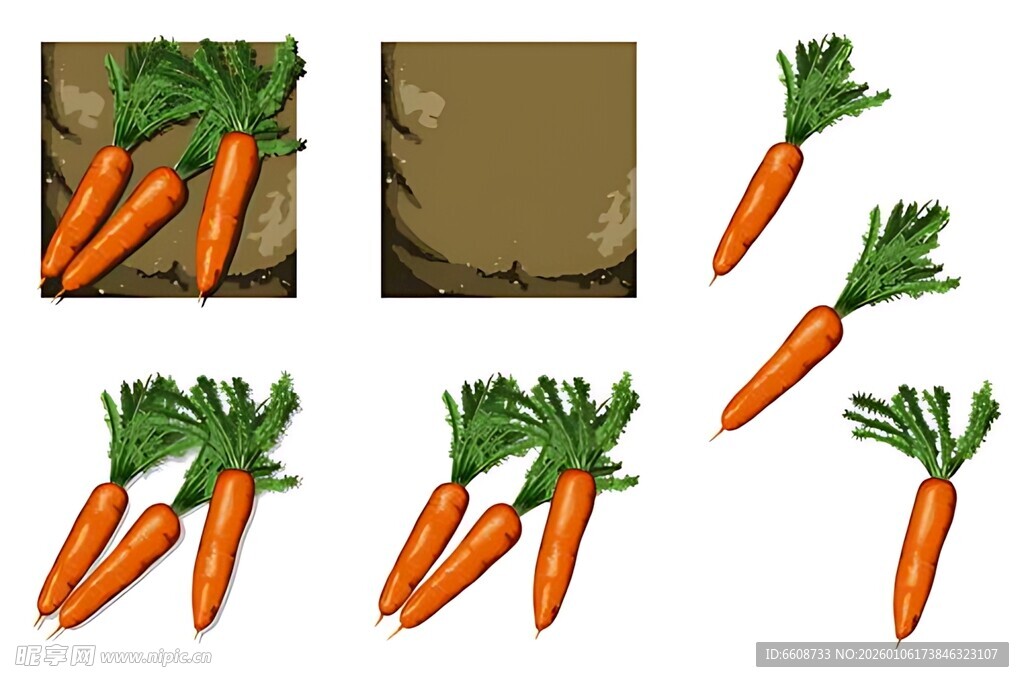 一组手绘胡萝卜插画素材