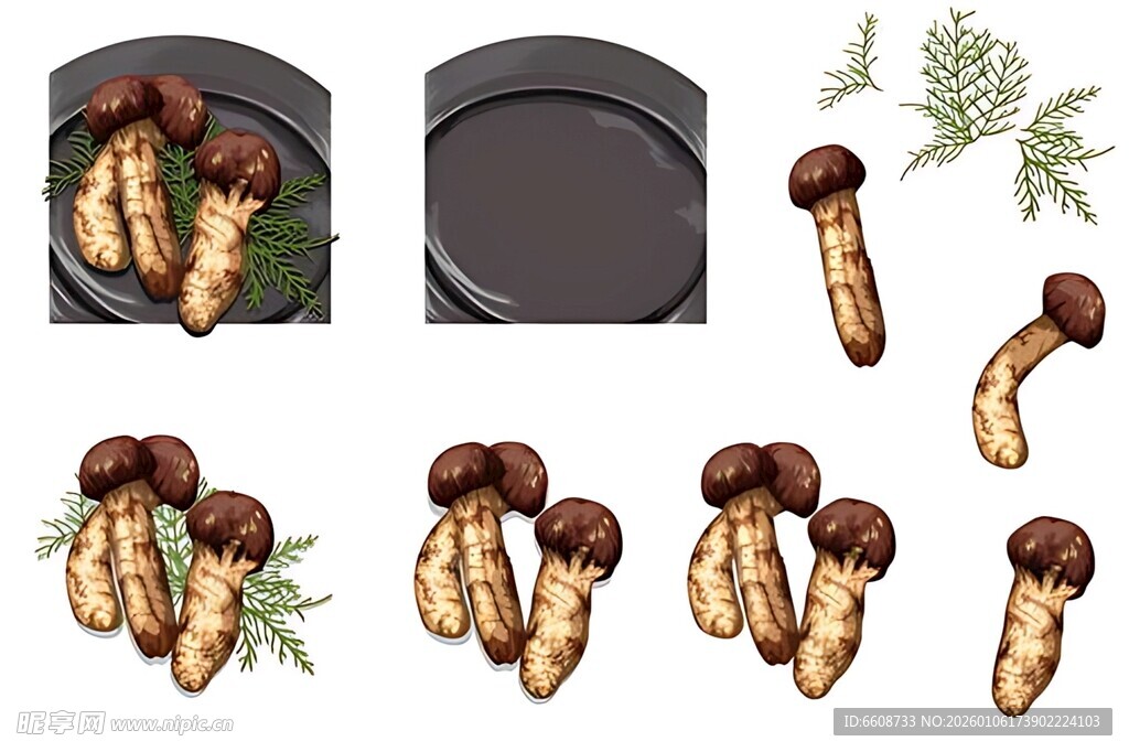 手绘蘑菇插画素材