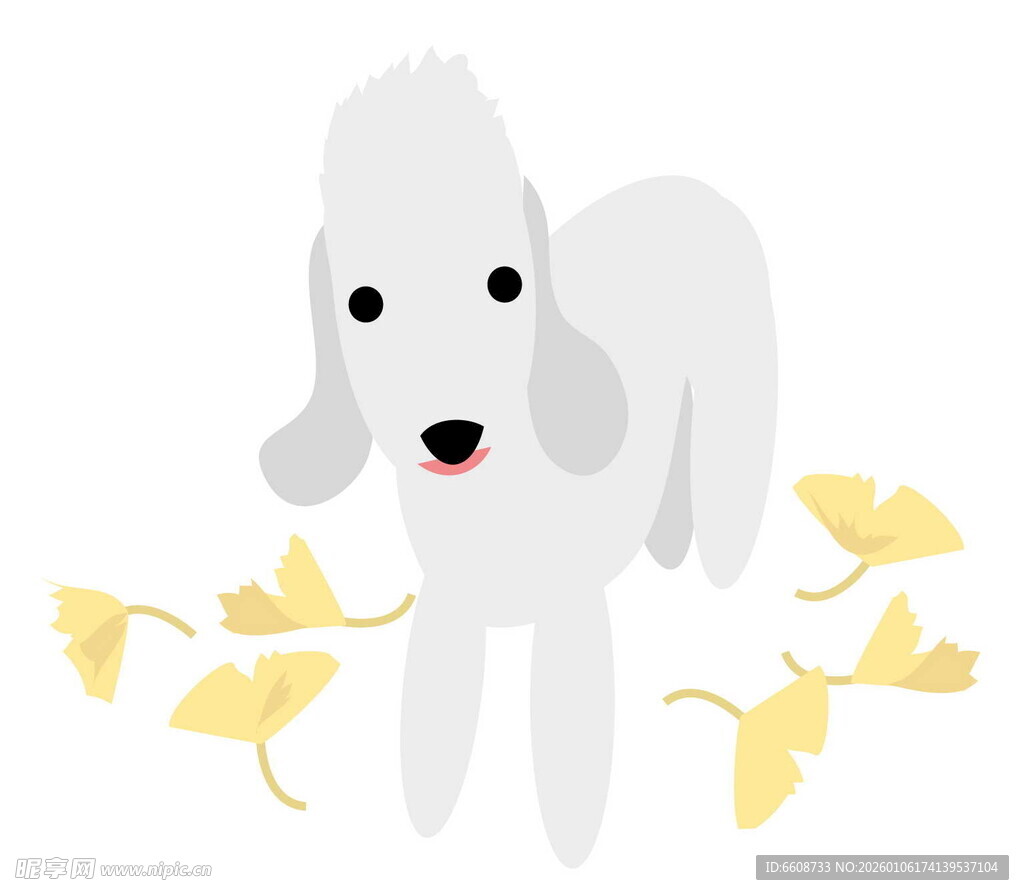 贵宾犬与银杏叶的温馨画面