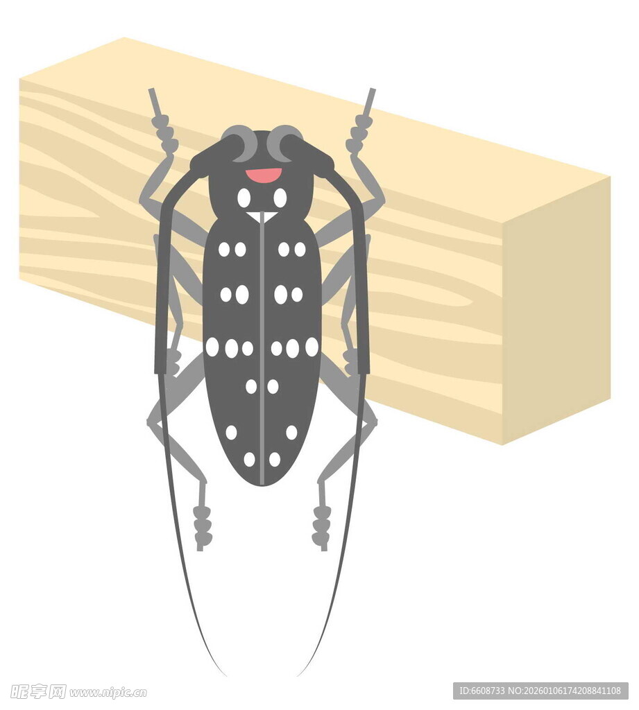 木头上的斑点甲虫