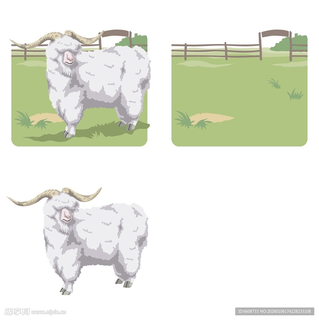 两只羊的精美插画