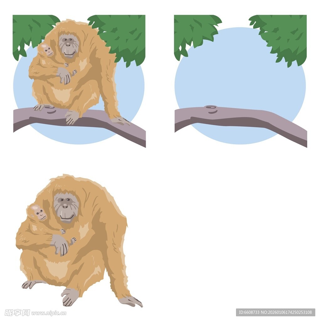 三只姿态各异的金丝猴