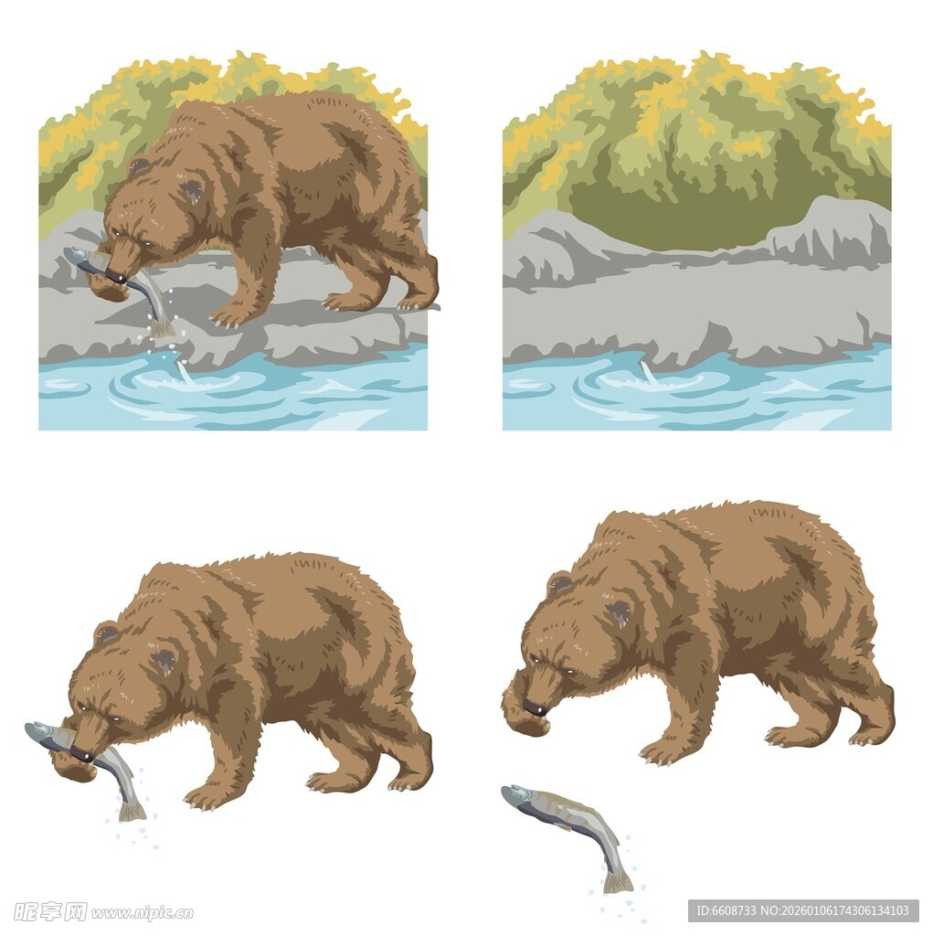 河狸捕食鱼类过程展示