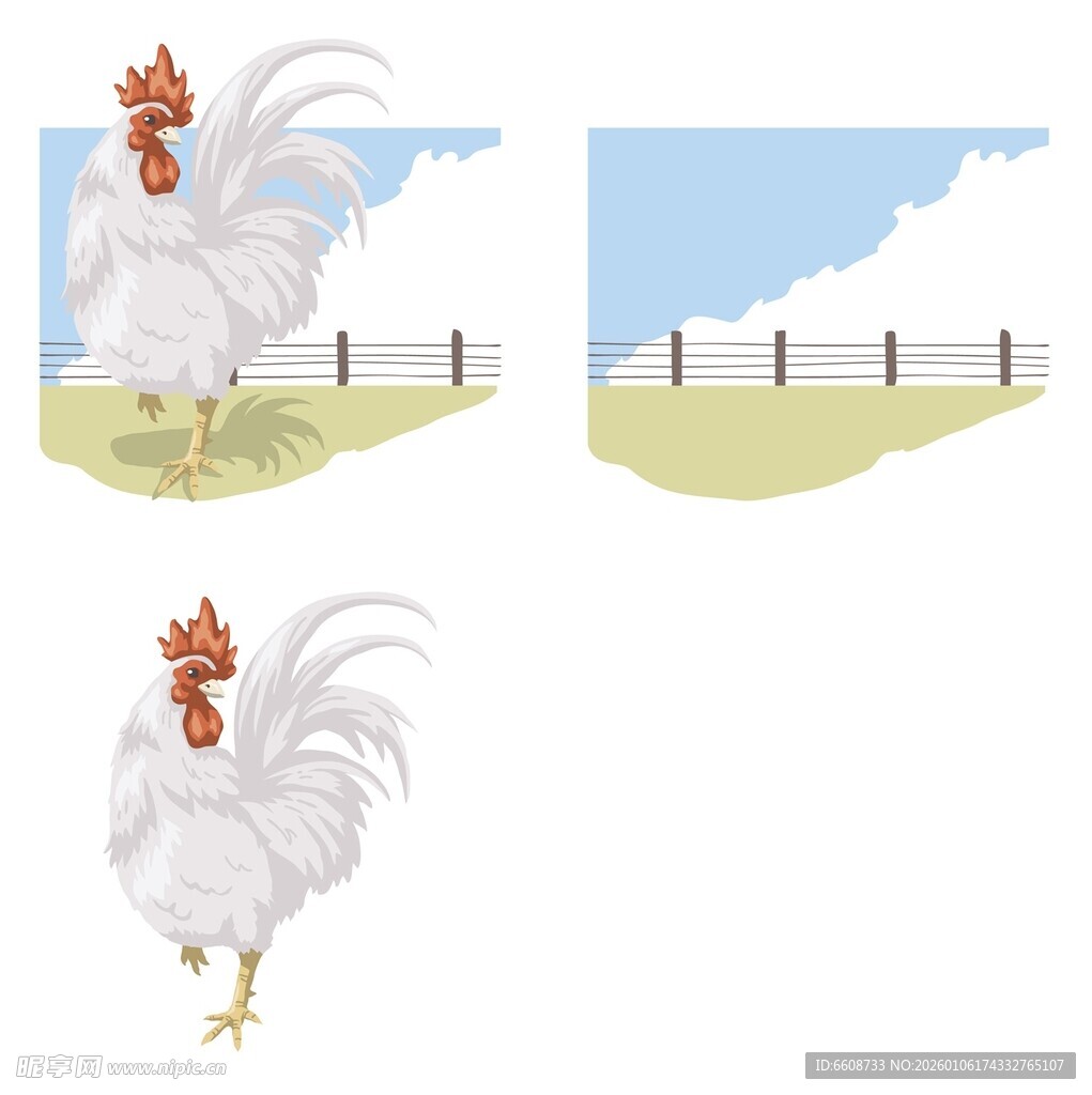 田园公鸡插画