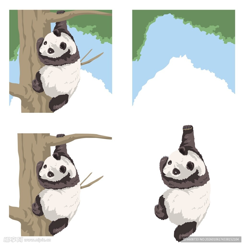 熊猫攀树姿态展示