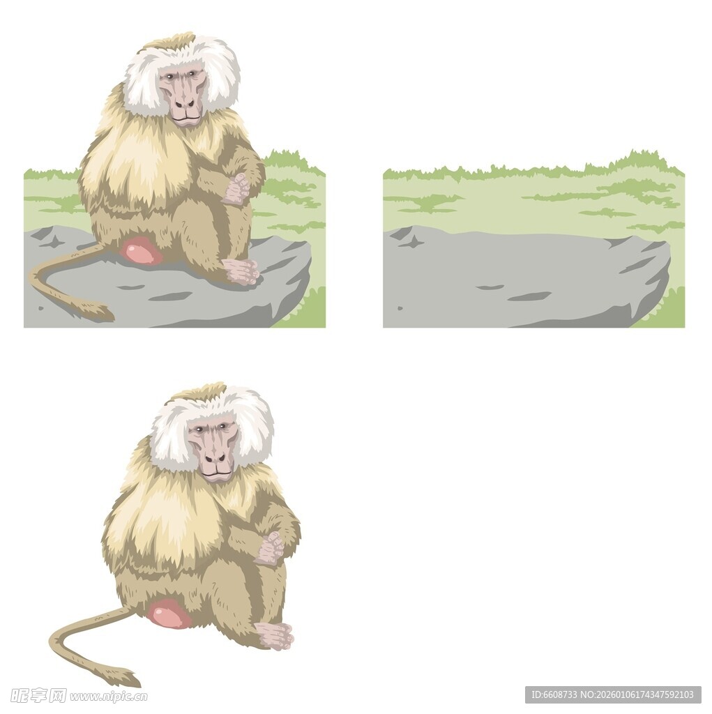 坐姿猴子插画设计素材