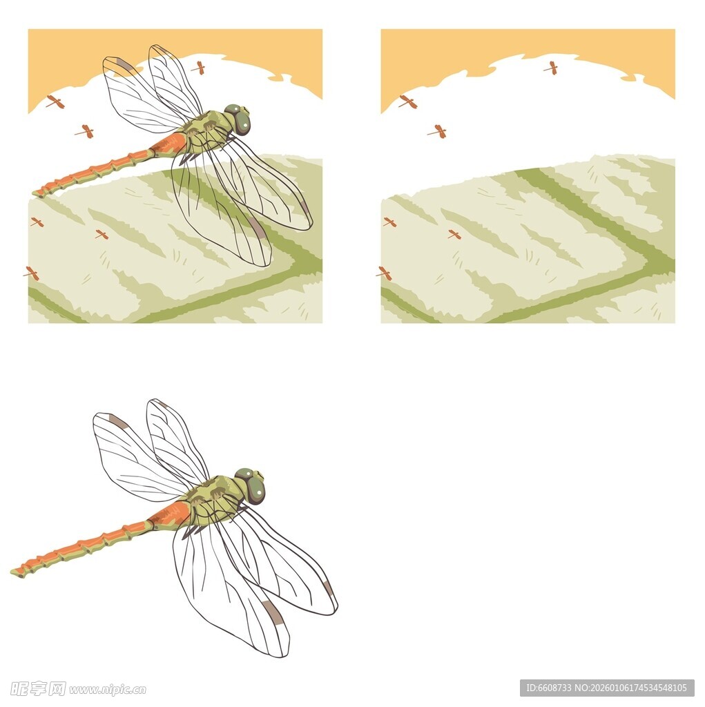 蜻蜓绘画步骤展示