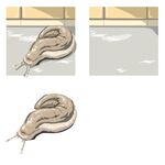 蜷曲的蛇插画展示