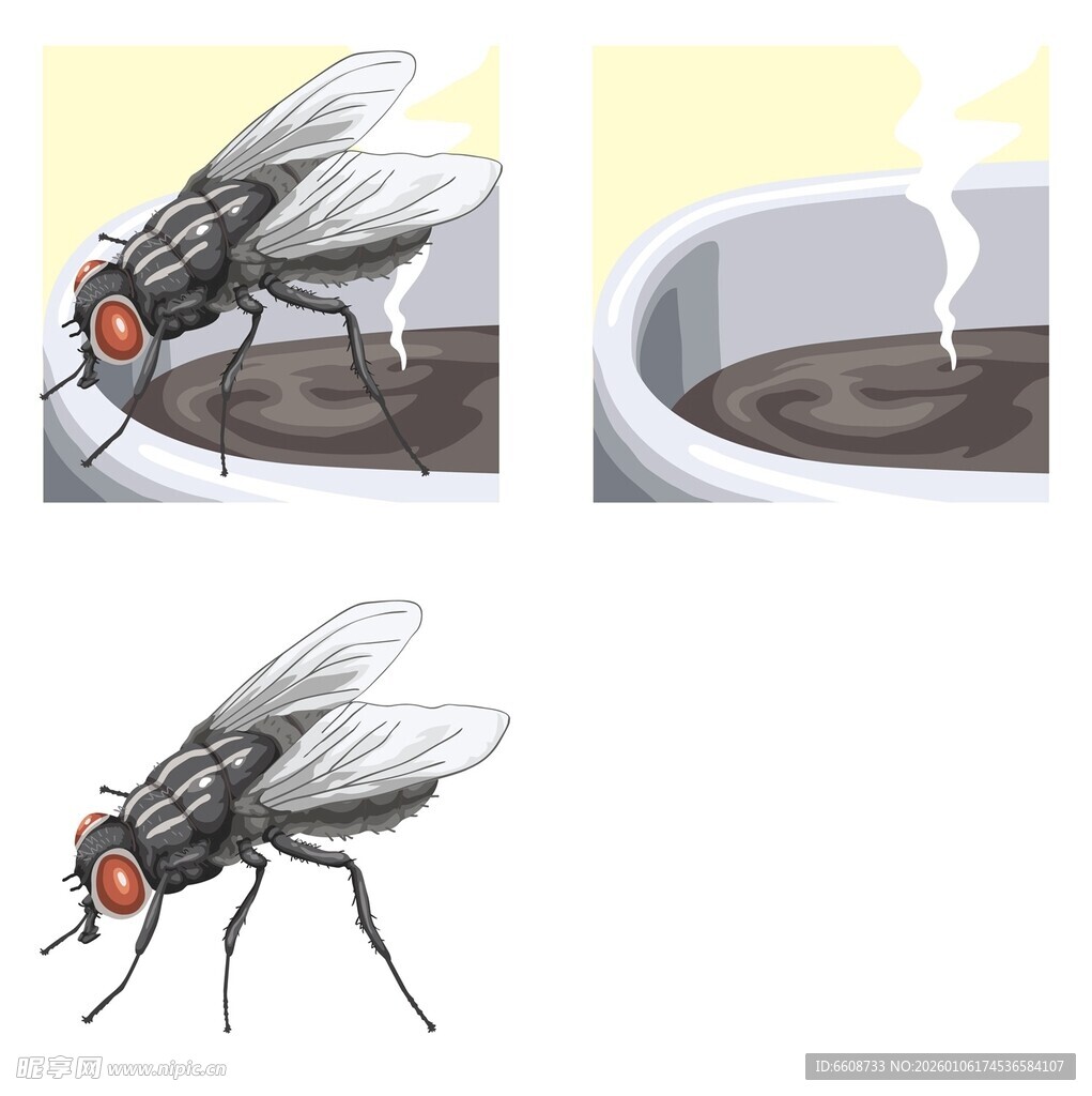 苍蝇在杯边活动场景