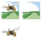 蜜蜂飞行姿态插画