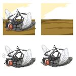 苍蝇死亡过程动画展示