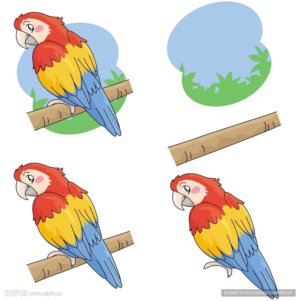 多彩鹦鹉栖息姿态插画