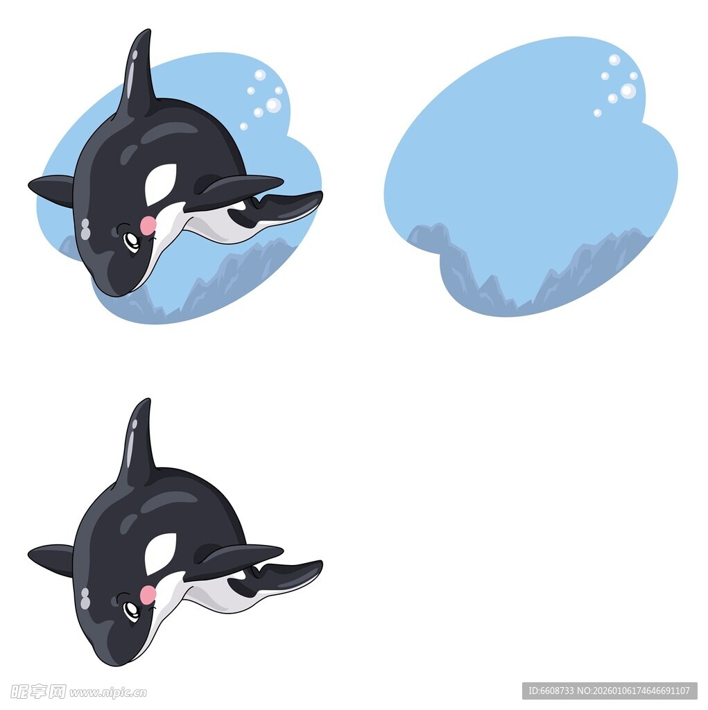 可爱虎鲸插画