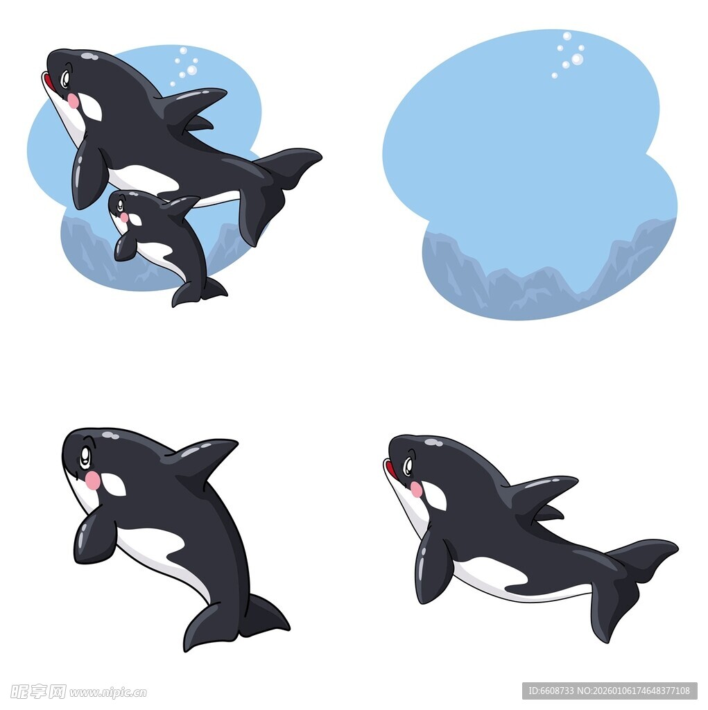 可爱虎鲸插画组图