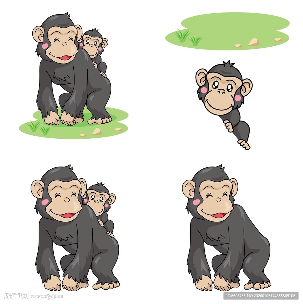 可爱黑猩猩的多样姿态