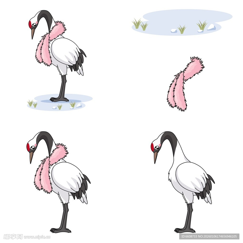 戴围巾的优雅仙鹤插画