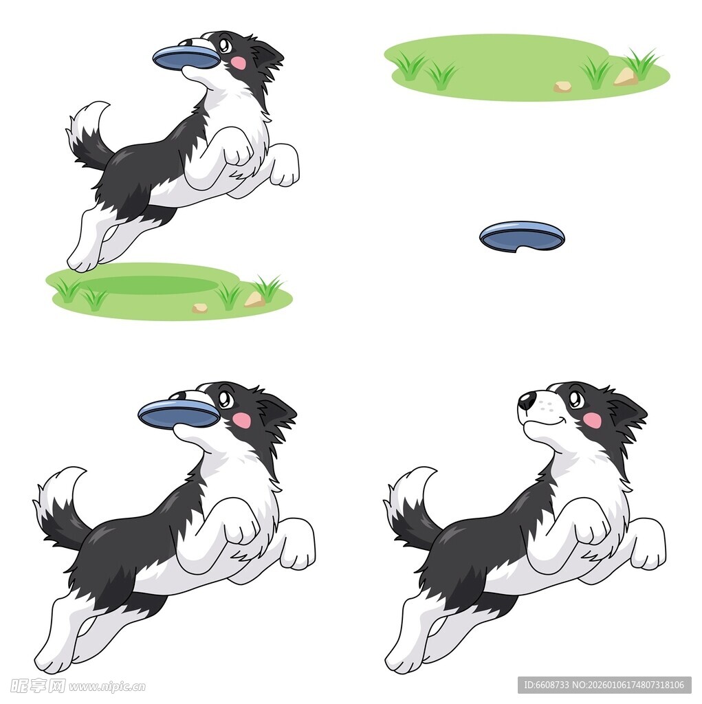 跳跃的边牧动态插画