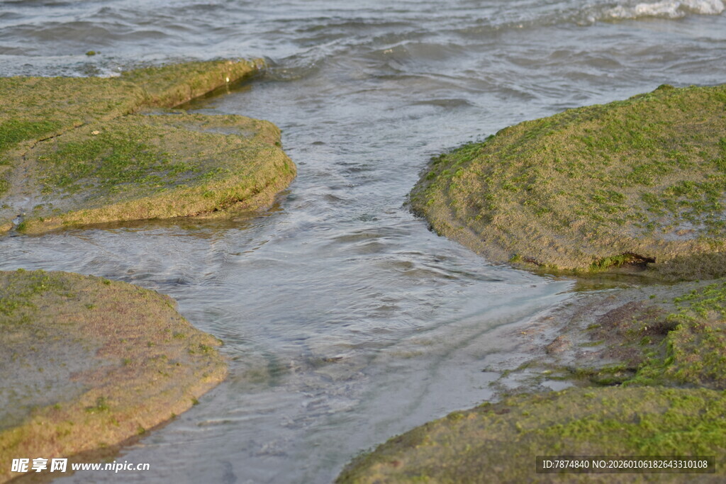 溪边草滩 潺潺流水景致