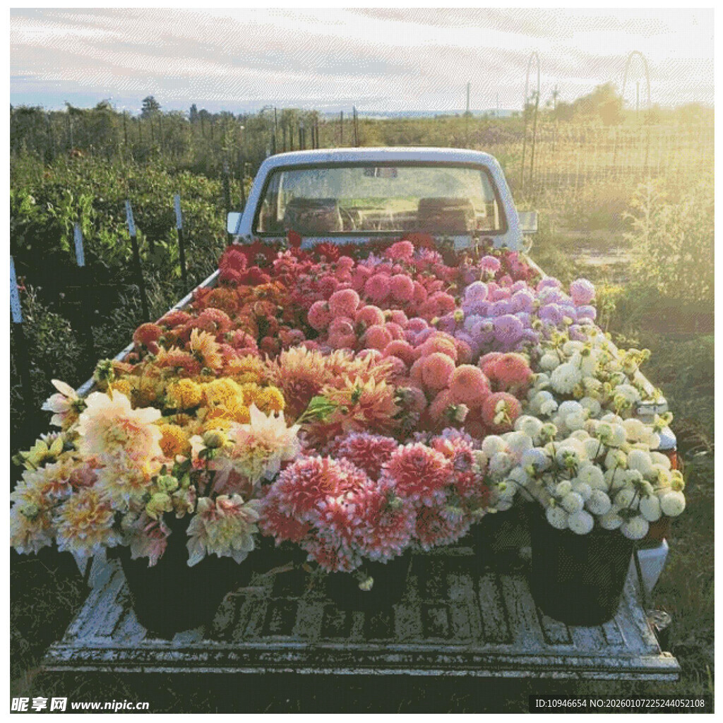 皮卡车满载多彩鲜花十字绣