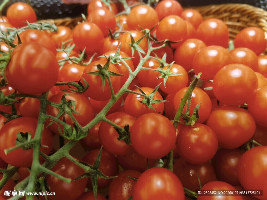 新鲜饱满的红番茄
