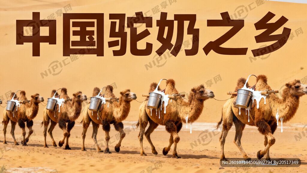 中国驼奶之乡的宣传图要沙漠骆驼