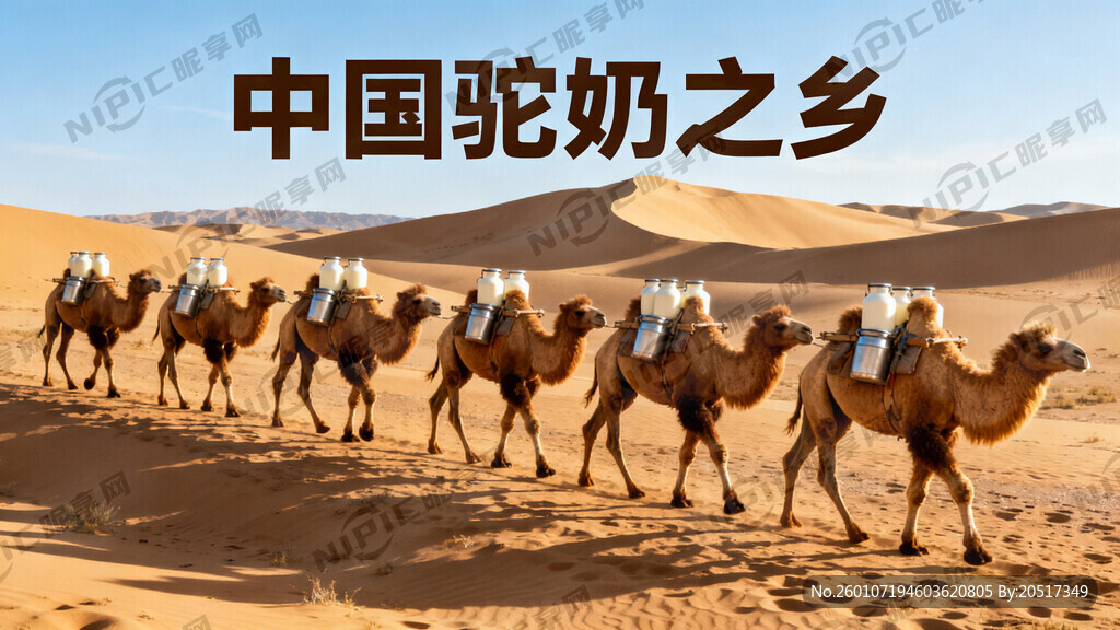 中国驼奶之乡的宣传图要沙漠骆驼