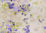 淡彩花卉图案纹理