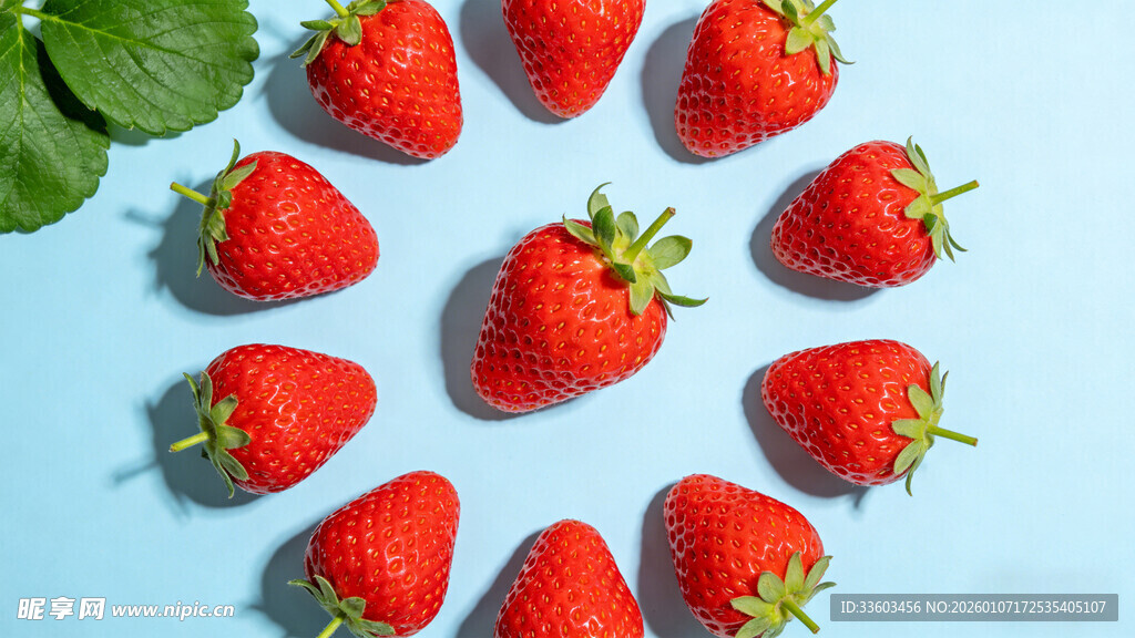 蓝底上排列的新鲜草莓
