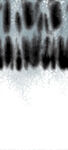 黑白声波纹理图案