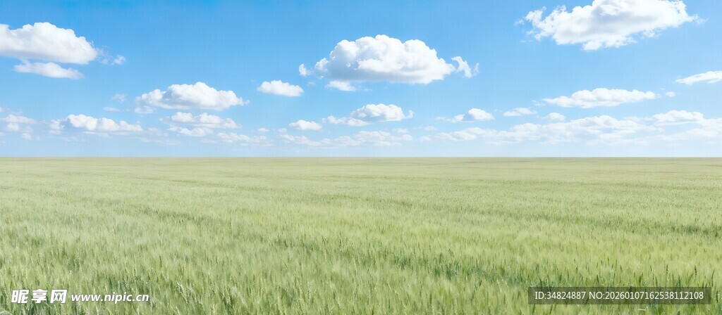 广袤绿野蓝天白云相伴