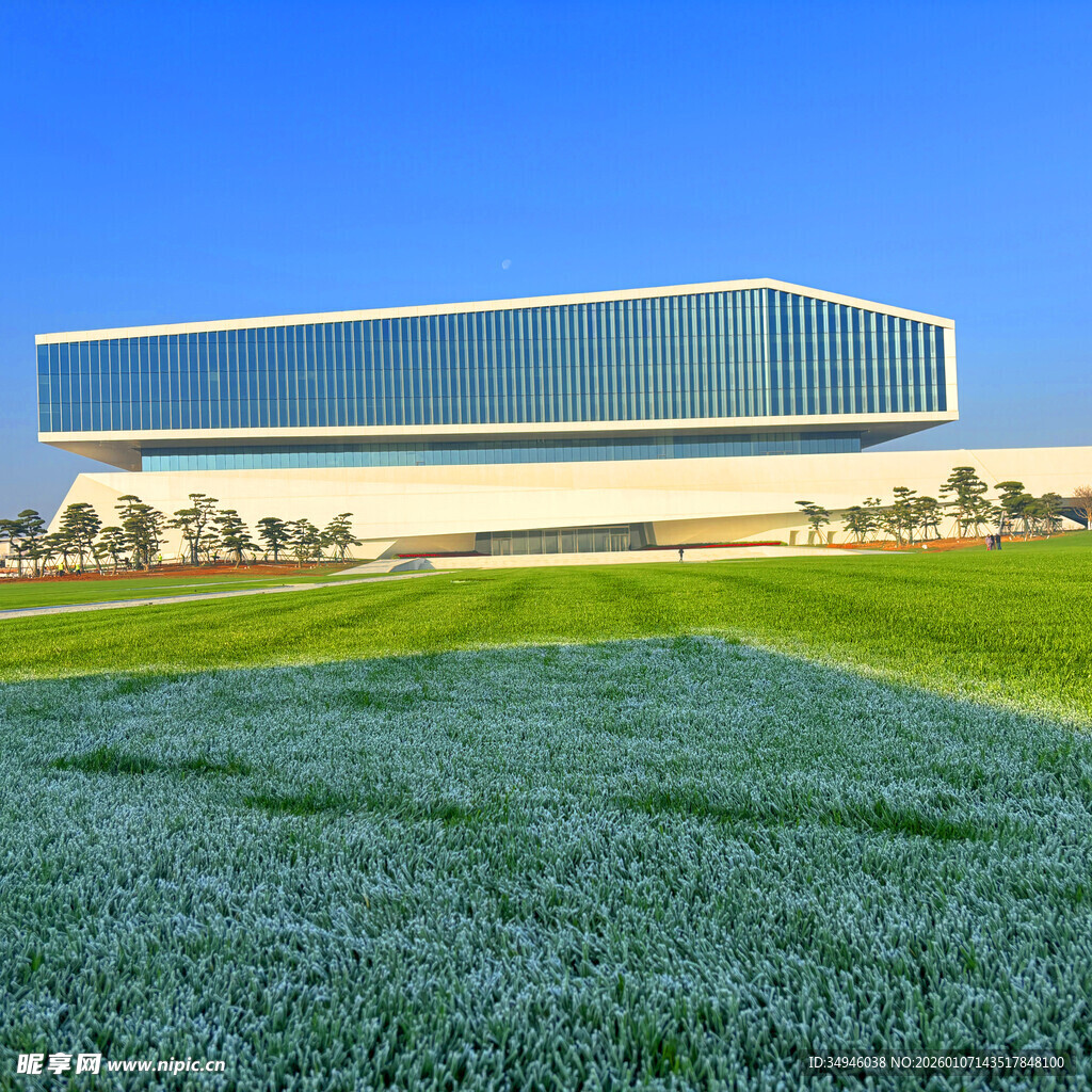 现代建筑旁的葱郁绿地