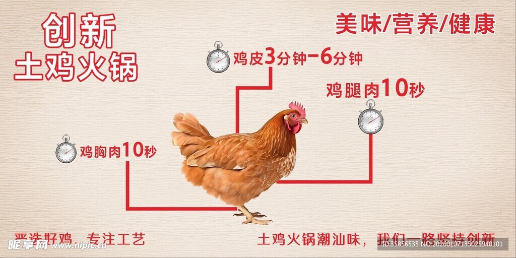 鸡的生命周期示意图