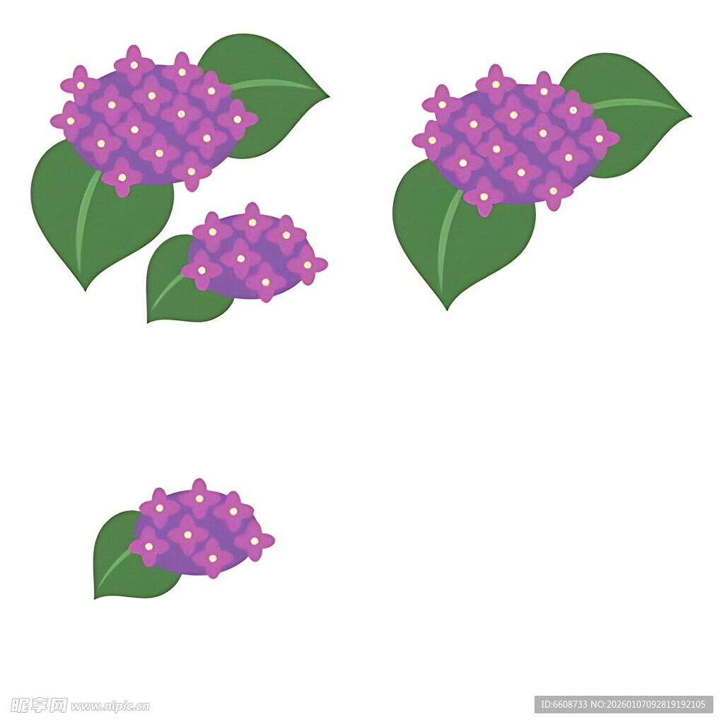 紫色花卉与绿叶图案