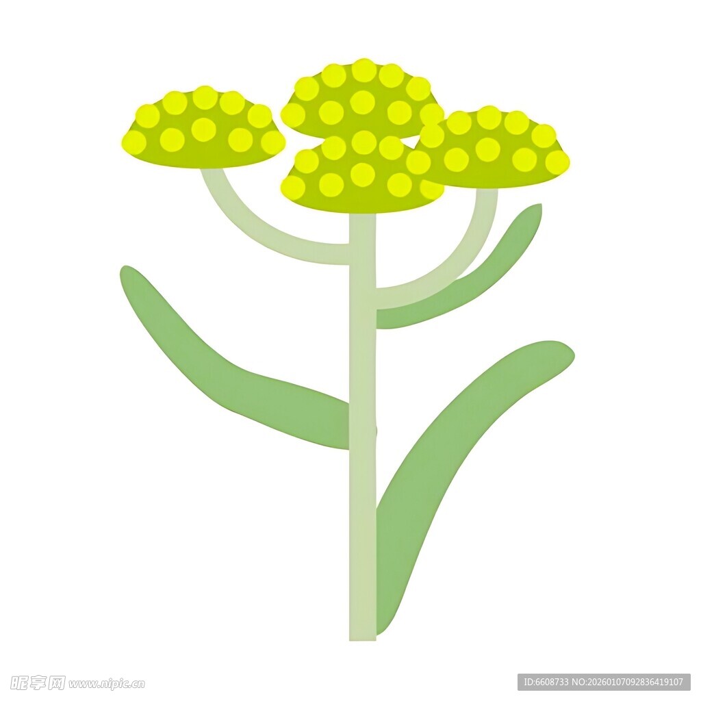 黄色花朵植物插画