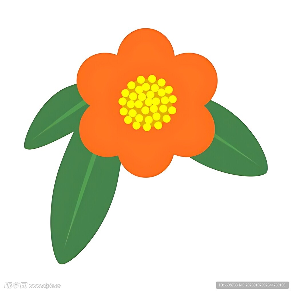 橙色花朵配绿叶插画