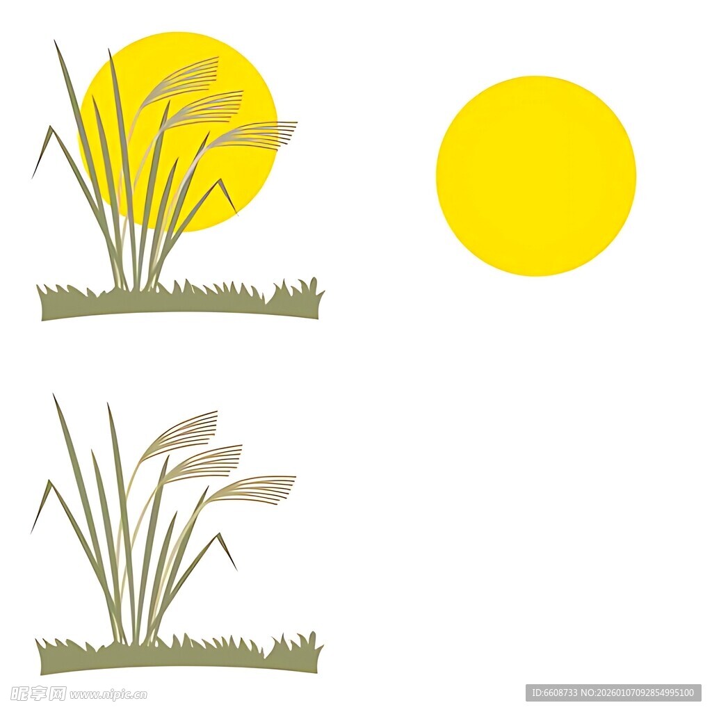 夕阳下的芦苇景观