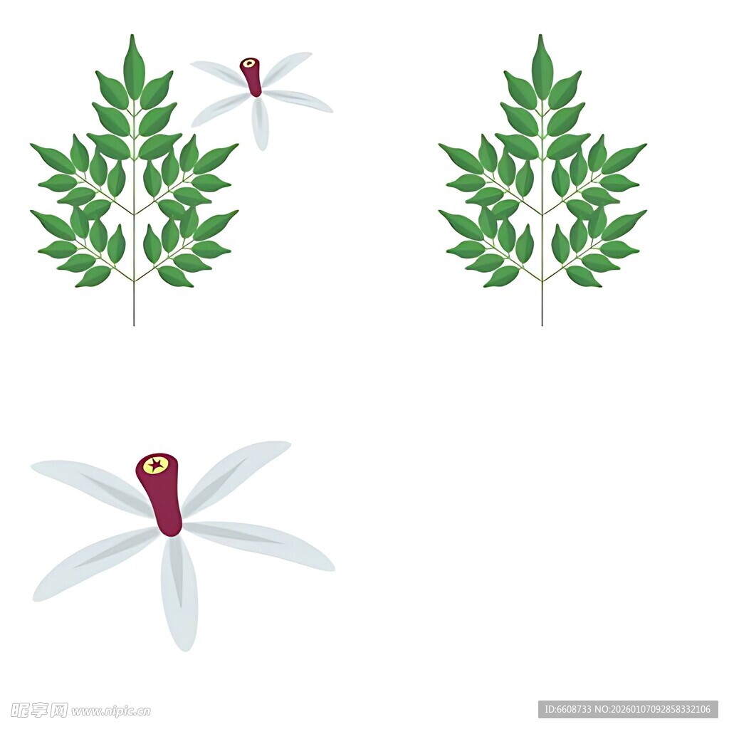 绿叶与蜻蜓插画元素