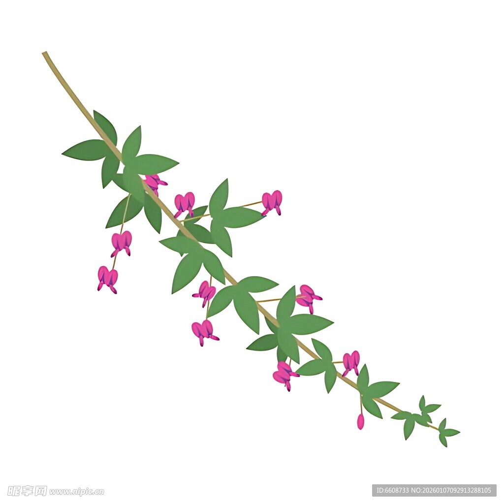 粉色小花枝蔓插画