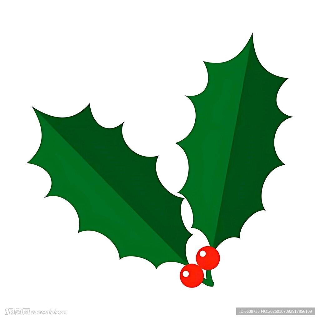 冬青叶配红果装饰图案