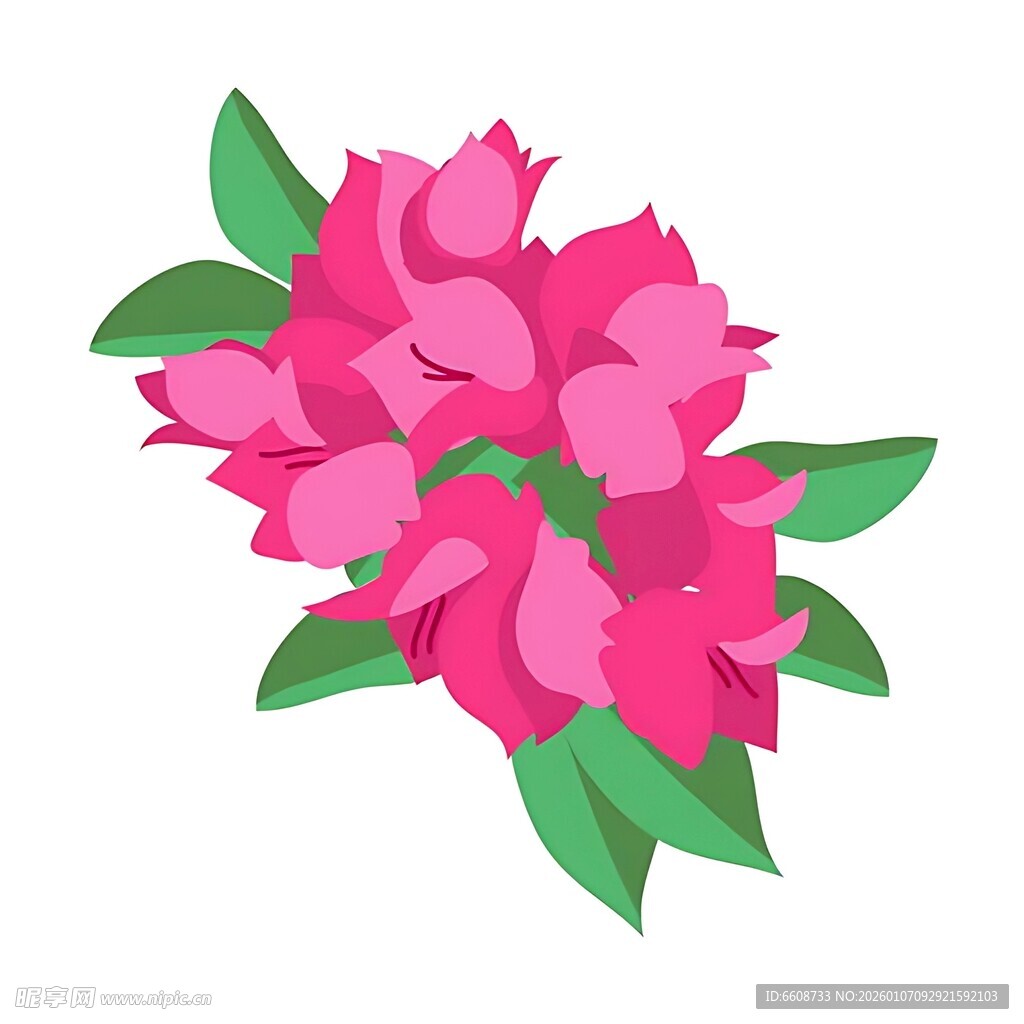 鲜艳粉色花朵插画