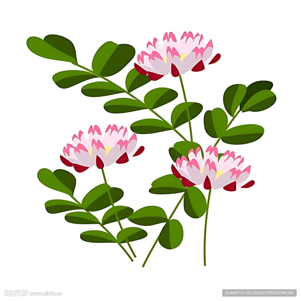 美丽粉色花朵与绿叶植物